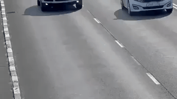 고속도로에서 아기고양이 구출 | 인스티즈