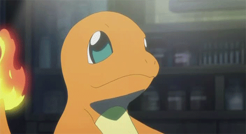 이상해씨 vs 파이리 vs 꼬부기 | 인스티즈