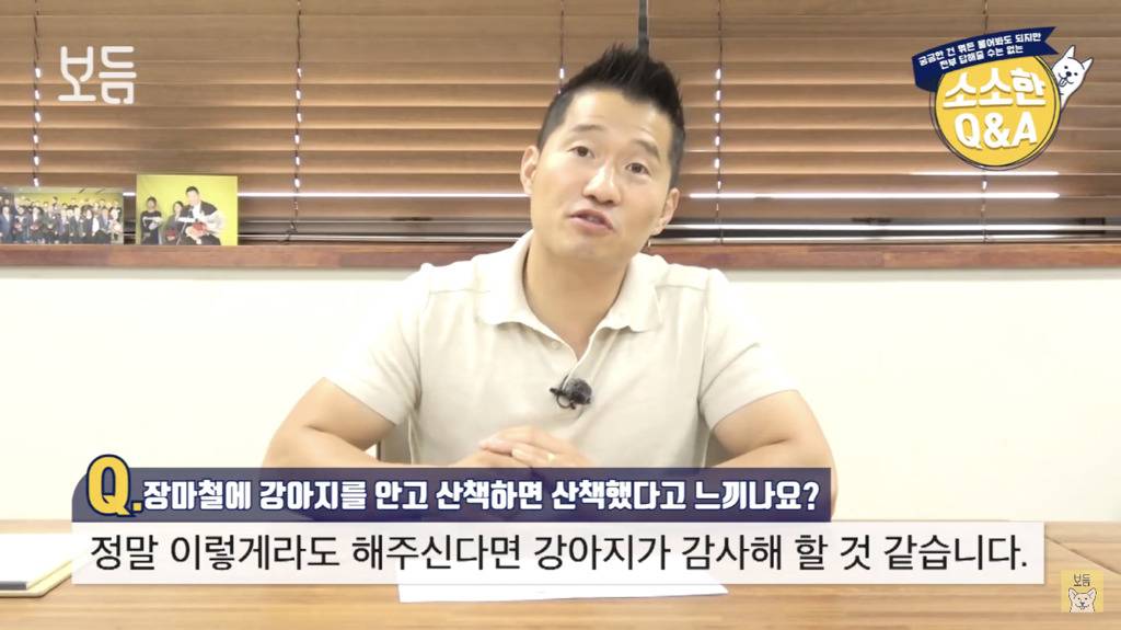 장마철에 강아지를 안고 산책하면 산책했다고 느끼나요?.jpg | 인스티즈