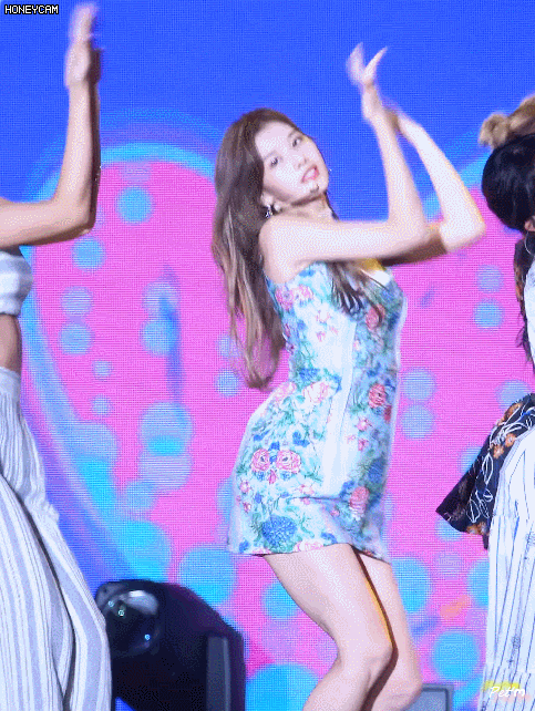 트와이스 시바견 미나토자키 사나 | 인스티즈