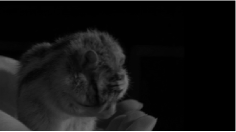 상남자 gif | 인스티즈