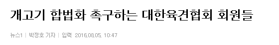 개고기 합법화 촉구하는 대한육견협회 회원들 | 인스티즈