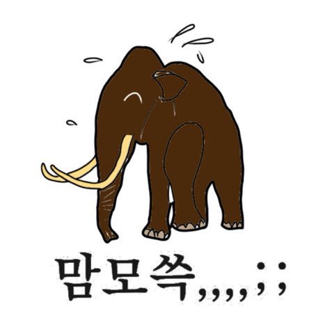 다섯집중에 한 집은 있는 냄비 | 인스티즈