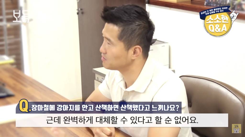 장마철에 강아지를 안고 산책하면 산책했다고 느끼나요?.jpg | 인스티즈