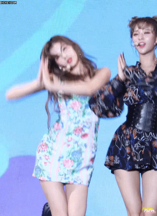 트와이스 시바견 미나토자키 사나 | 인스티즈