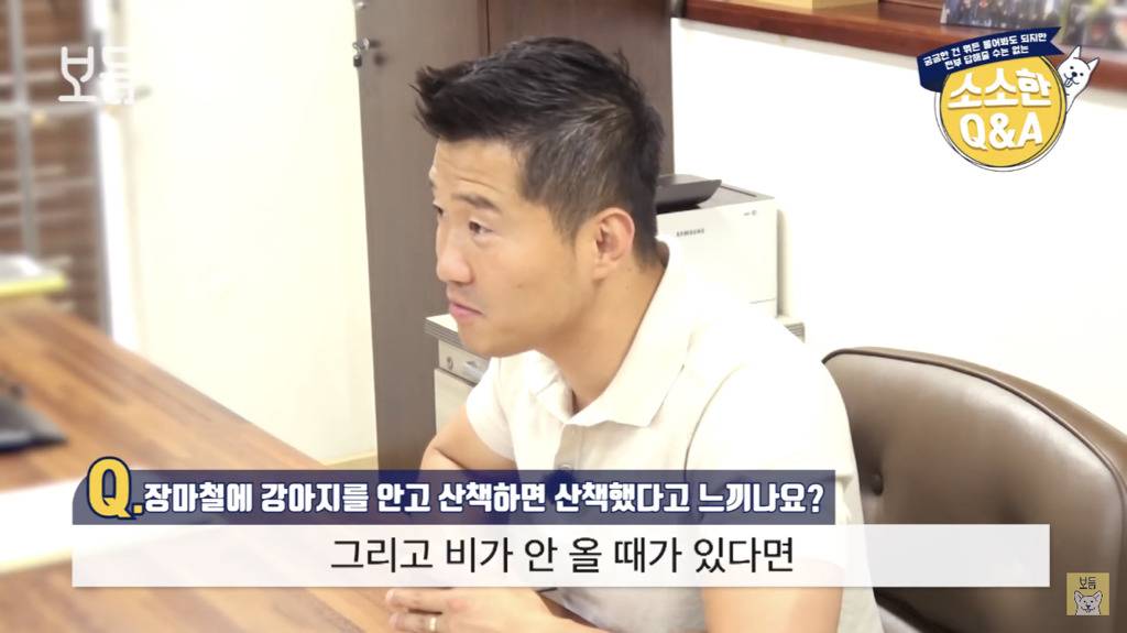 장마철에 강아지를 안고 산책하면 산책했다고 느끼나요?.jpg | 인스티즈