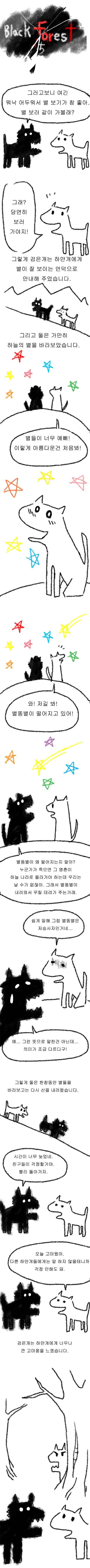  블랙 포레스트 | 인스티즈