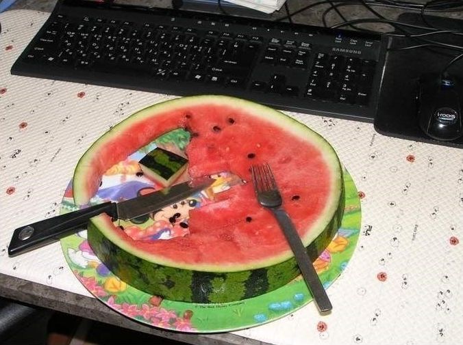  수박시리즈 | 인스티즈