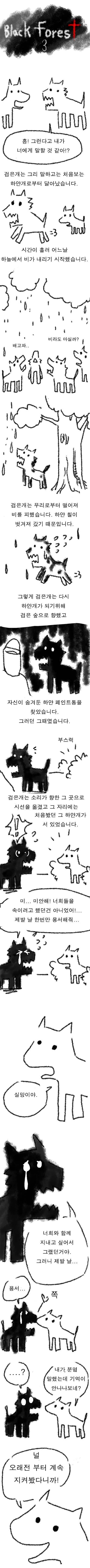  블랙 포레스트 | 인스티즈