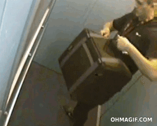 ??? : 아 맞다 올리브 넣지 말랬지 | 인스티즈