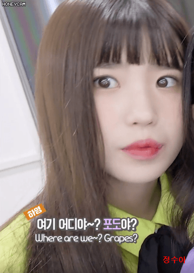 프로미스나인 - To Day 음악방송 비하인드.GIF(데이터 주의) | 인스티즈