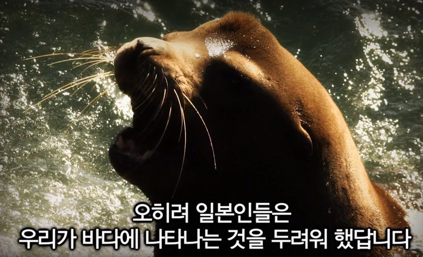 강치가 뭐게 | 인스티즈