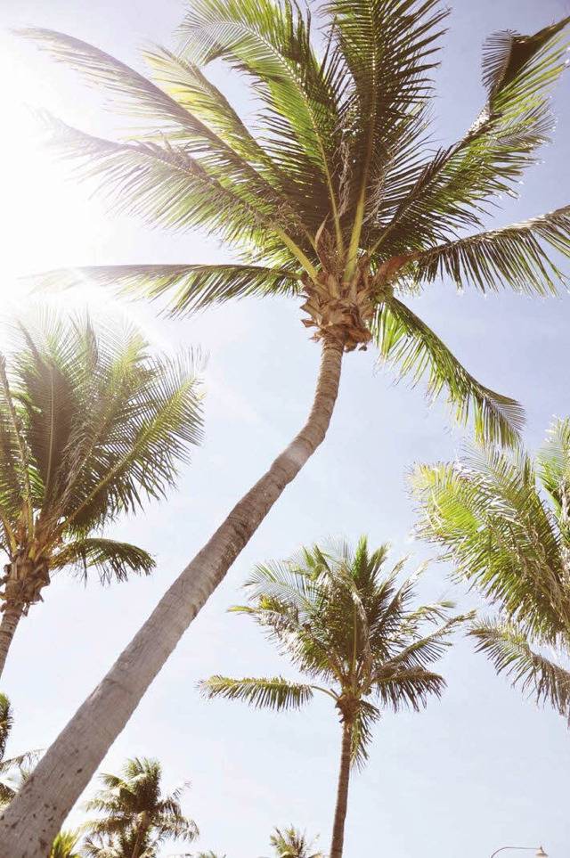 스마트폰 배경화면 | 인스티즈