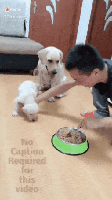 내새끼한테 그만하개 | 인스티즈