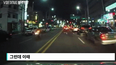  무단횡단사고 | 인스티즈