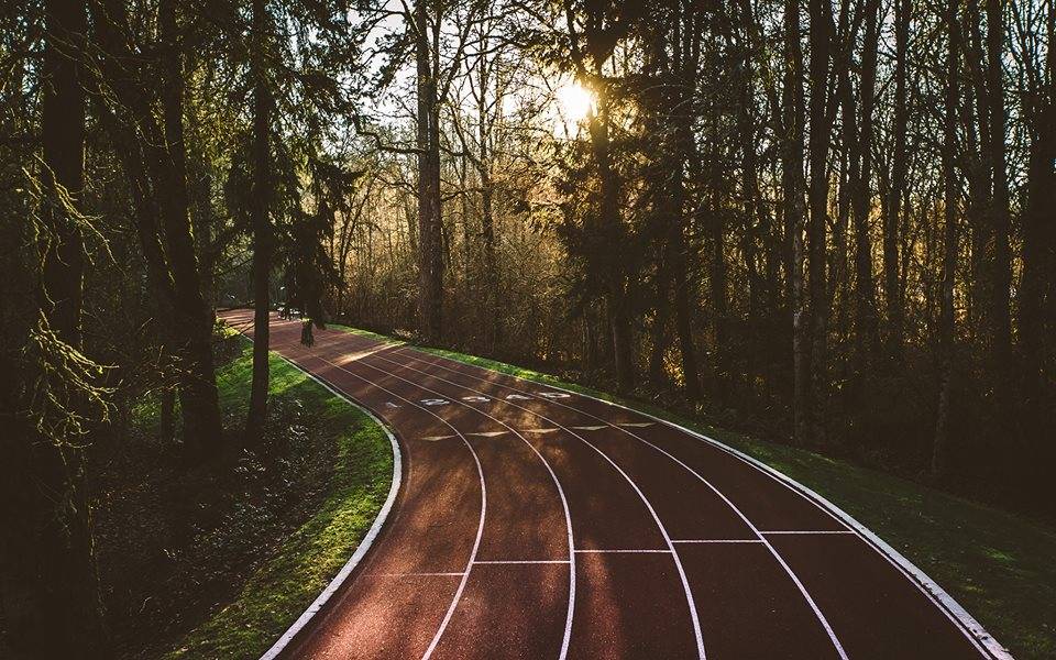 외국 유명 회사들의 본사들 | 인스티즈