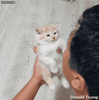 ??? : 하여간 괭이든 든 집에 들이기만해봐.gif | 인스티즈