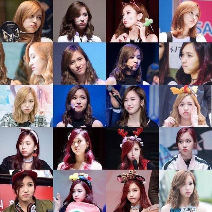 문재인 대통령 당선 기념 미나리 | 인스티즈