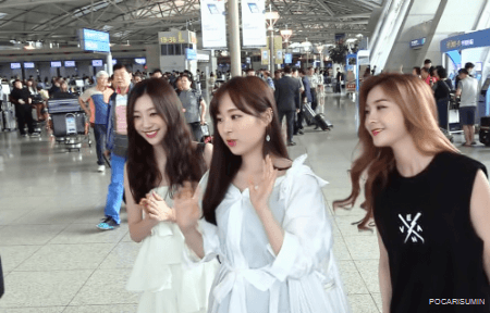 소나무 인천공항 대만 출국 움짤 | 인스티즈