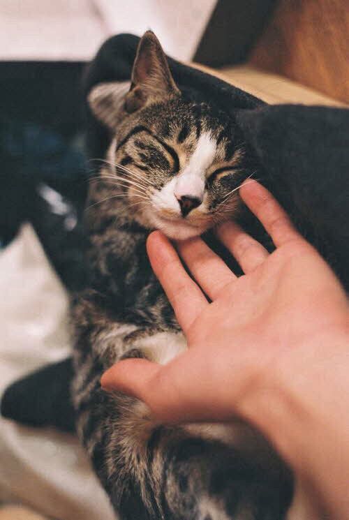 스마트폰 배경화면 | 인스티즈