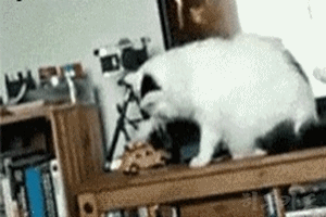 안돼 하지마 | 인스티즈