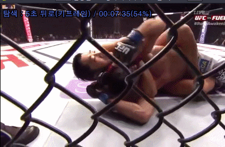 매미권을 함부로 따라하면 안되는 이유 | 인스티즈