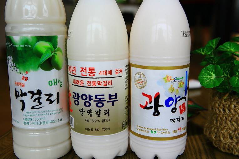 전국 최고의 막걸리는 어디 | 인스티즈