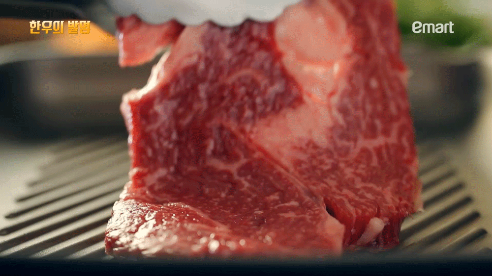 소고기 vs 돼지고기 | 인스티즈