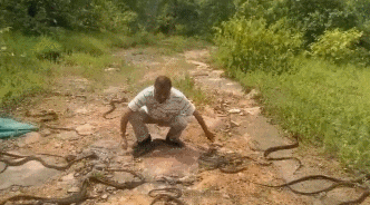 슬리데린 후계자.gif | 인스티즈