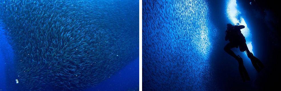 아름답고도 무서운 지구의 자연현상.jpg | 인스티즈