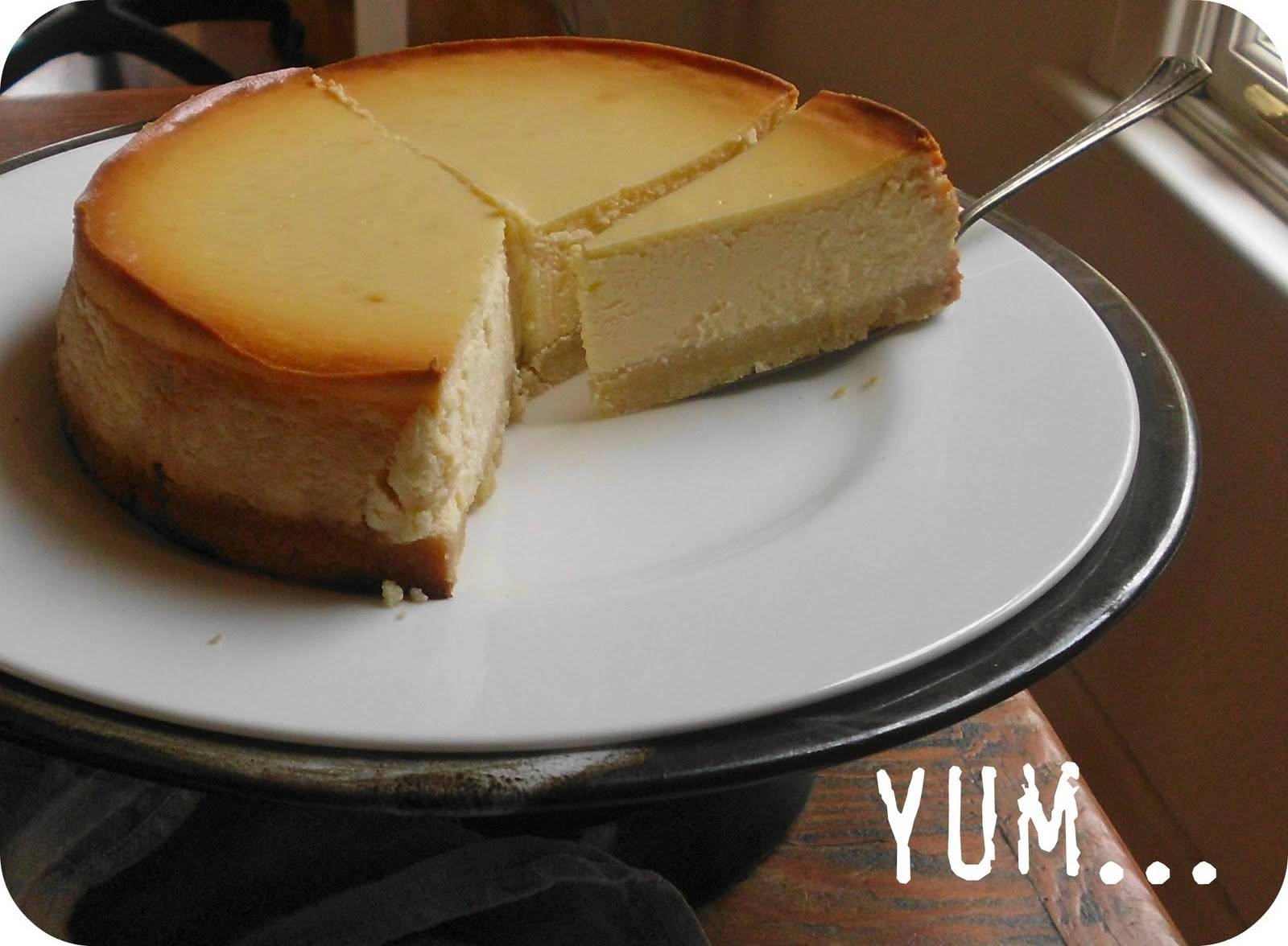 겁나게 사실적인 치즈케이크 텍스쳐 | 인스티즈