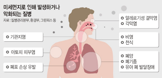 국내외 사이트들의 미세먼지 수치 차이 | 인스티즈