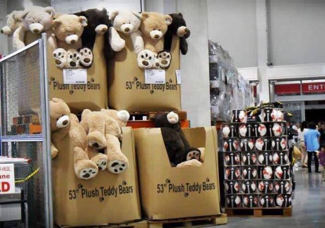 코스트코 곰돌이 | 인스티즈