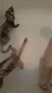 야 포기하면 편해 | 인스티즈