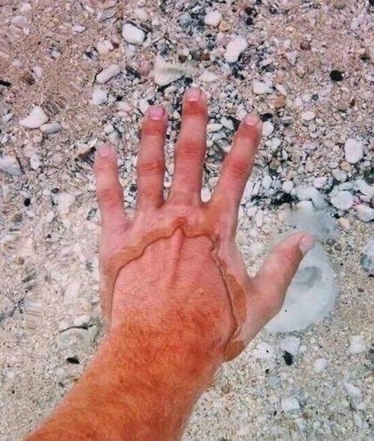 물이 너무 맑아 매년 사람들이 죽는 호수.jpg | 인스티즈