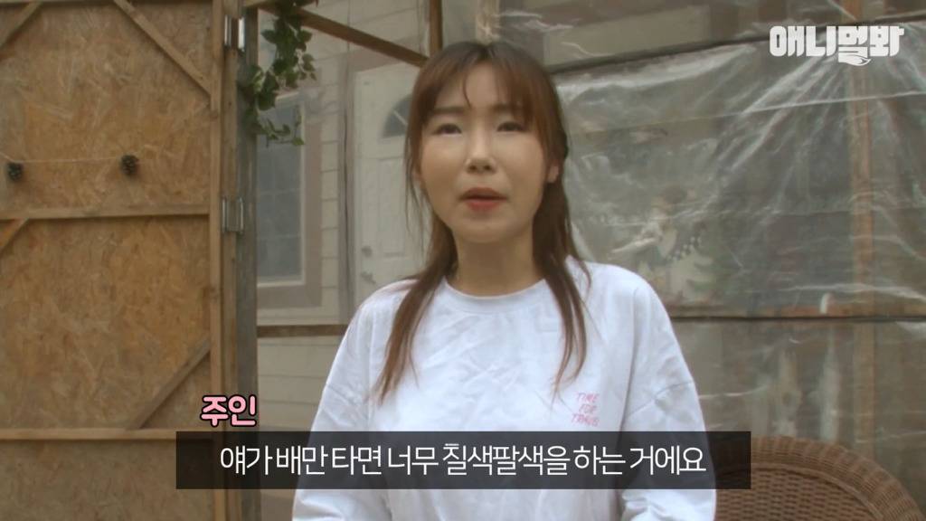 혼자 버스타고 지인 만나러 가는 강아지 상연이.jpg | 인스티즈