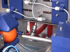 오렌지 껍질까는 기계.gif(계속 보게됨 주의) | 인스티즈