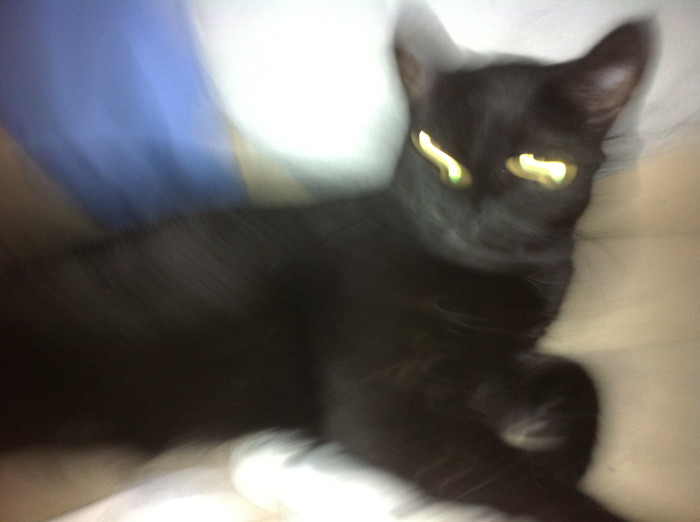 [Reddit] 내 친구가 연락이 안돼 -1- (3부작) | 인스티즈