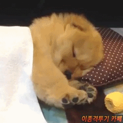 사진만 찍을려고하면 코을 구멍에 넣는 꼬맹이.jpg | 인스티즈