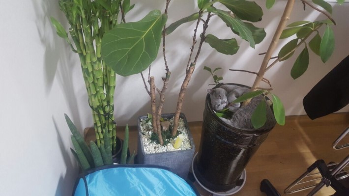 나 어디있게? | 인스티즈