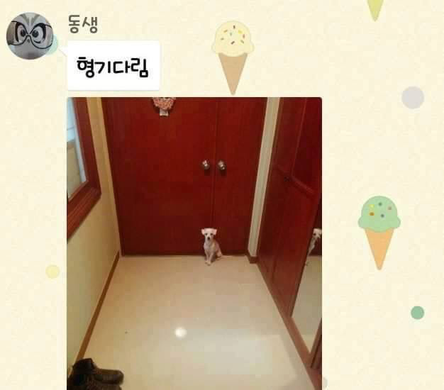 멍멍이때문에 일찍 집에간다하면 보내주라!!광광!! | 인스티즈
