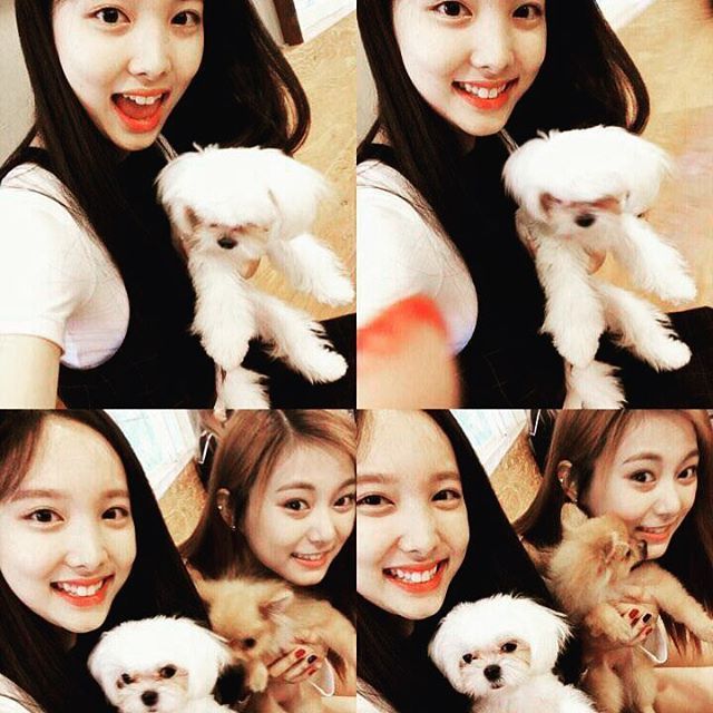 트와이스 꿀케미 | 인스티즈