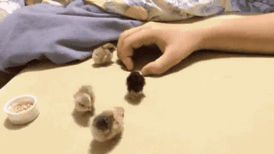 따뜻한 품 속으로.gif | 인스티즈