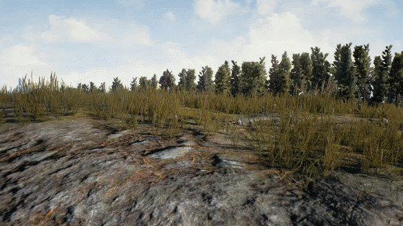 [배틀그라운드] 흔한 국산개발겜의 대회우승 트로피 | 인스티즈