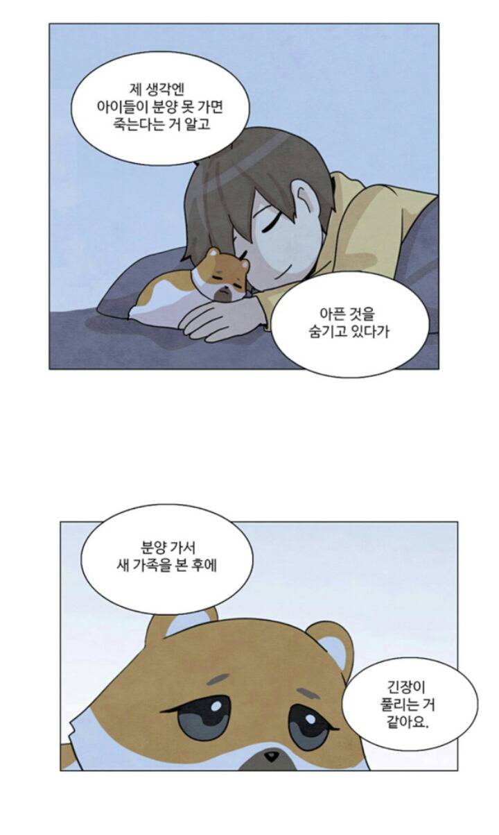 입양된 강아지가 갑자기 아픈이유 | 인스티즈