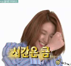 트와이스 아기맹수 채영이 | 인스티즈