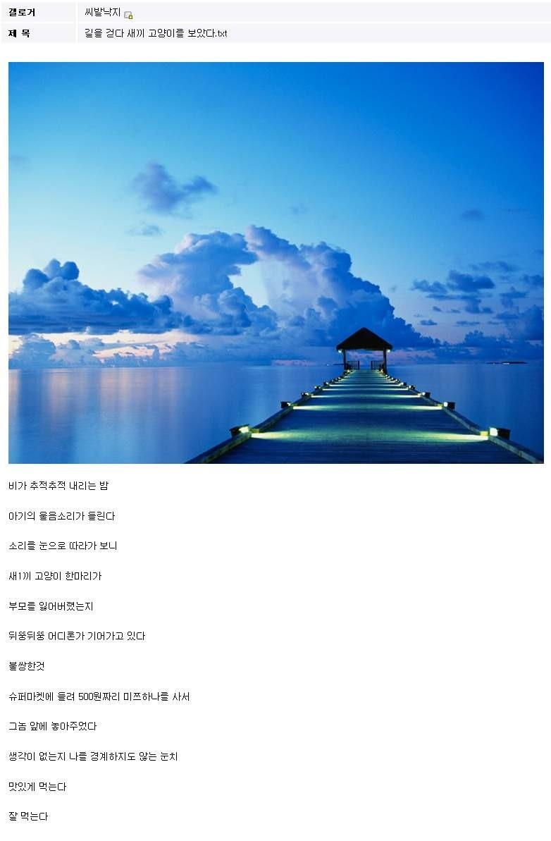 믿고보는 낙지 | 인스티즈