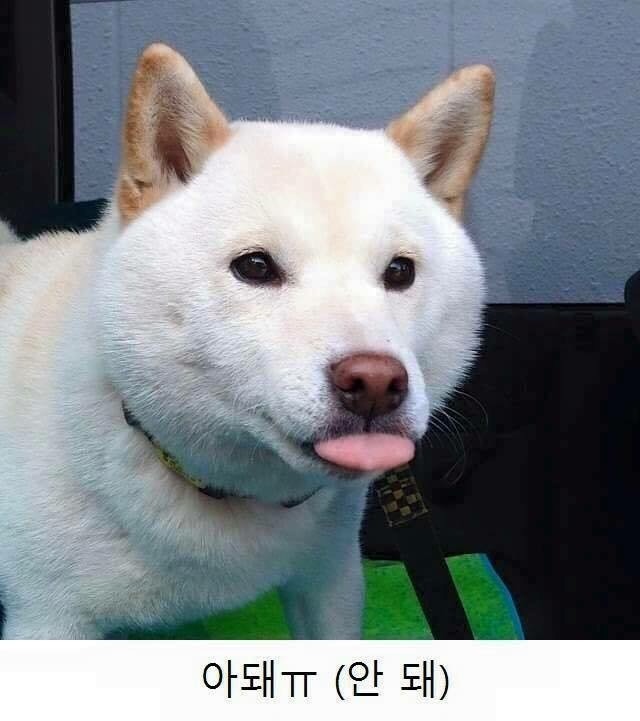 견성수준...gif | 인스티즈