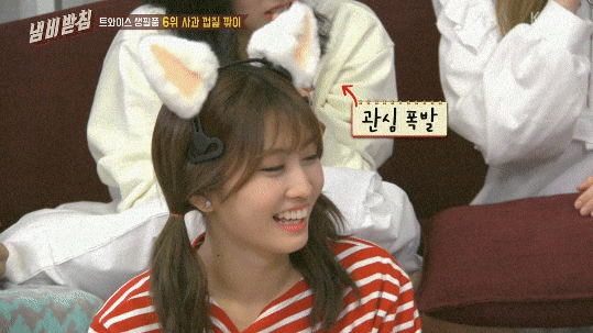 고양이의 마음이 되어버린 트와이스.gif | 인스티즈