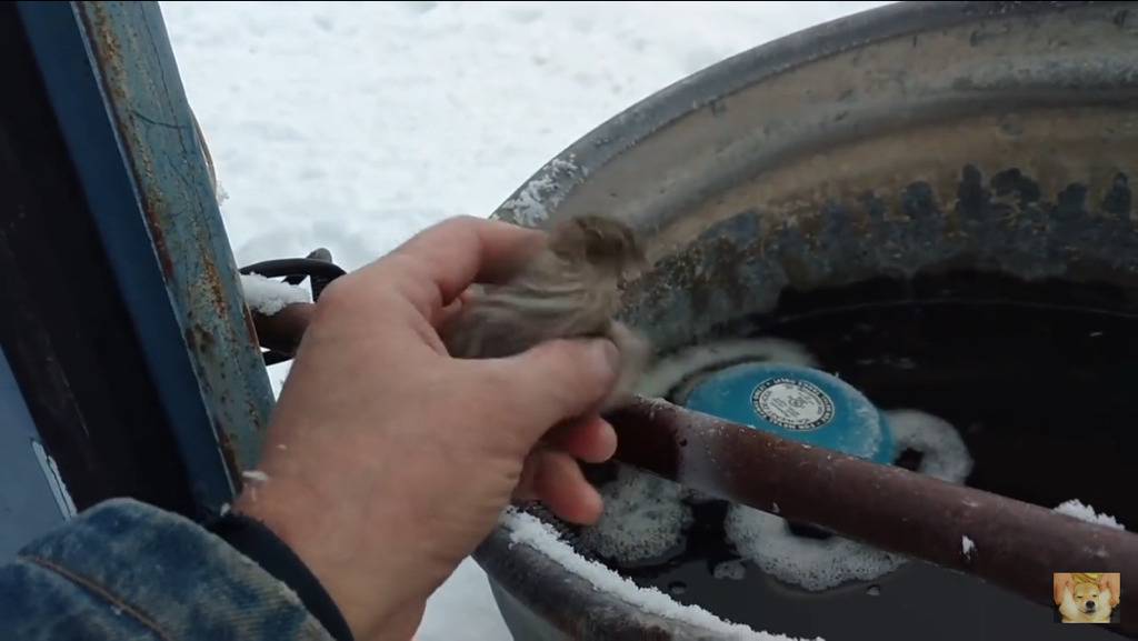 쇠파이프에 발이 얼어붙은 참새를 구해주는 할아버지 | 인스티즈